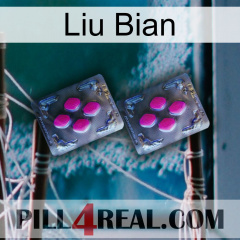 Liu Bian 01